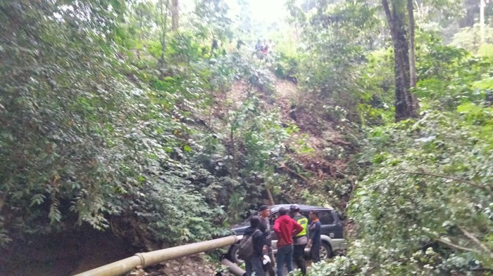 mobil kuda masuk jurang di jember