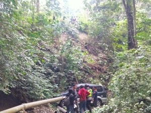 Sopir Ngantuk, Mitsubishi Kuda Terjun Jurang 15 Meter di Jalur Gumitir Jember