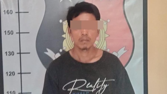 Petani di Paluta ditangkap karena mencuri kerbau tetangganya