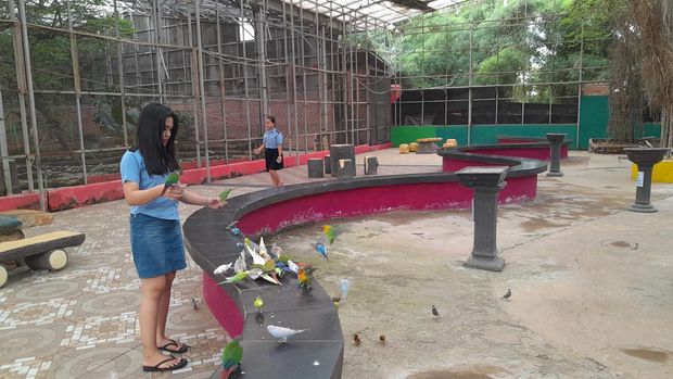 Spot burung parkit jadi lokasi favorit pengunjung di Palembang Bird Park