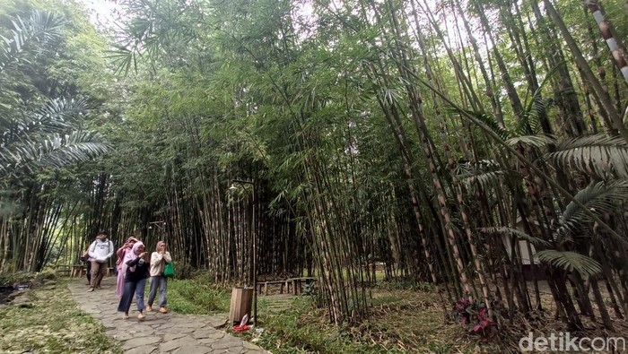 Tempat wisata Bhumi Bambu di Baturraden, Banyumas, Minggu (4/6/2023).