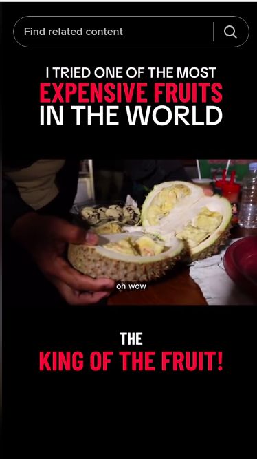 Alan Walker cicip kuliner Indonesia
