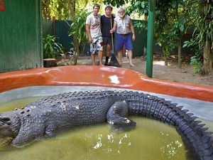 Penampakan Buaya Terbesar Dunia yang Diklaim Berusia 120 Tahun