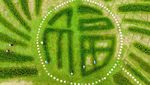 Cantik! Ladang Bunga Lili di China Berbentuk Aksara Tionghoa