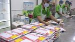 Mengintip Dapur Masak Konsumsi Jemaah Haji Indonesia di Makkah