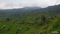 Suasana kaki Gunung Halimun