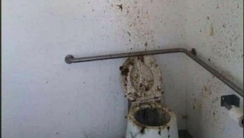 Ini sih bukan takut, tapi jijik. Foto: Boredpanda