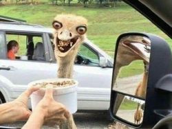 Bukan Foto Penampakan Tapi Bikin Takut