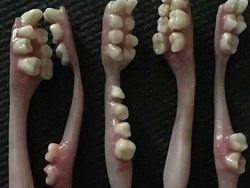 Bukan Foto Penampakan Tapi Bikin Takut