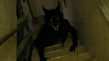 Bayangkan ketika kamu turun tangga kantor di malam hari disambut begini. Foto: Boredpanda