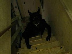 Bukan Foto Penampakan Tapi Bikin Takut