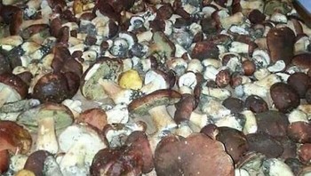 Masuk ruangan ini di kondisi gelap bakal menakutkan. Foto: Boredpanda