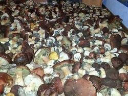 Bukan Foto Penampakan Tapi Bikin Takut