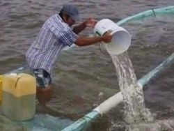 Bukan Foto Penampakan Tapi Bikin Takut