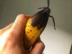 Bukan Foto Penampakan Tapi Bikin Takut