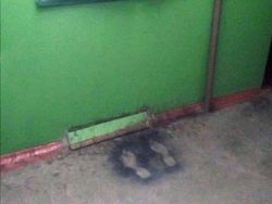 Bukan Foto Penampakan Tapi Bikin Takut