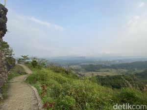 Sukabumi Heboh, Sosok Macan Muncul di Gunung Kopi