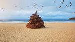 Misteri Pup Raksasa di Pinggir Pantai Terkenal Australia