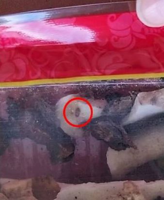 Jijik! Pembeli Ini Temukan Serangga Aneh Dalam Kemasan Rempah Kering