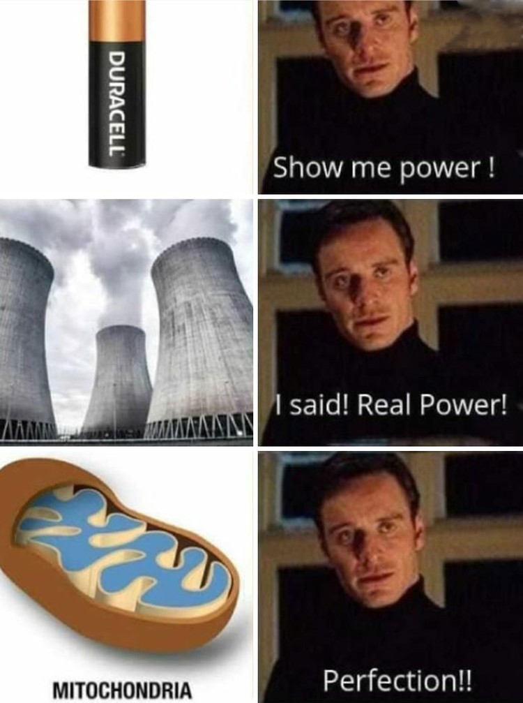 Meme Sains yang Bikin Ketawa Kalau Paham Meme berikut ini bisa bikin ketawa untuk kamu yang berkecimpung atau tertarik dalam ilmu sains. Mana yang paling kocak?