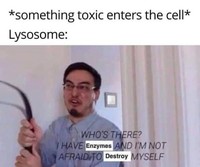 Meme berikut ini bisa bikin ketawa untuk kamu yang berkecimpung atau tertarik dalam ilmu sains. Mana yang paling kocak?