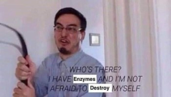 Lisosom yang sangat pemberani. Foto: reddit via Bored Panda  