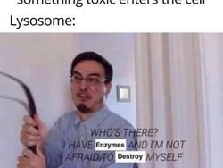 Meme Sains yang Bikin Ketawa Kalau Paham