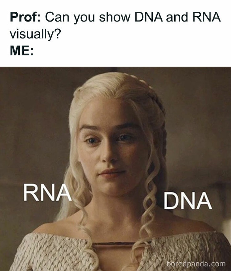 Meme Sains yang Bikin Ketawa Kalau Paham Meme berikut ini bisa bikin ketawa untuk kamu yang berkecimpung atau tertarik dalam ilmu sains. Mana yang paling kocak?