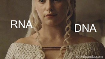 Rambut Daenerys Targaryen yang cocok untuk menggambarkan RNA dan DNA. Foto: thecurlygirl03 via Bored Panda