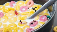 Sereal ternyata tak hanya dapat dinikmati sebagai menu sarapan. Bagi Peter, semangkuk sereal terlihat seperti kolam untuk bersantai. Foto: Bored Panda