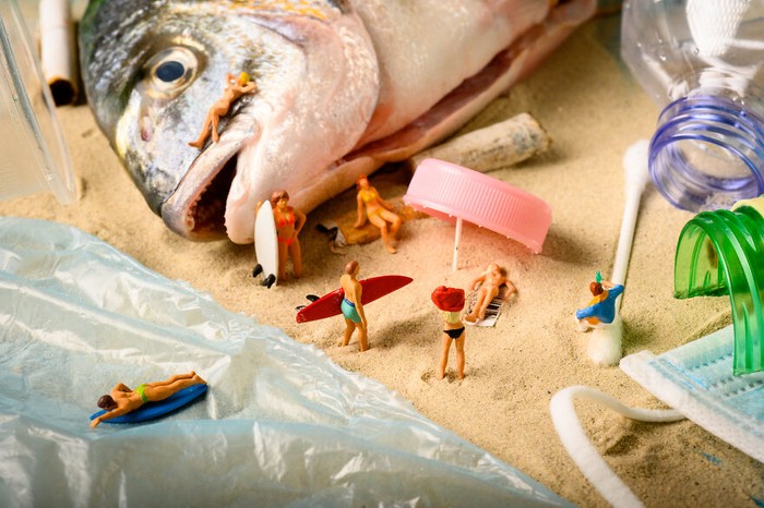 Miniatur sampah makanan Imut! 10 Kreasi Miniatur Ini dari Sampah Makanan Ini Indah Menakjubkan!