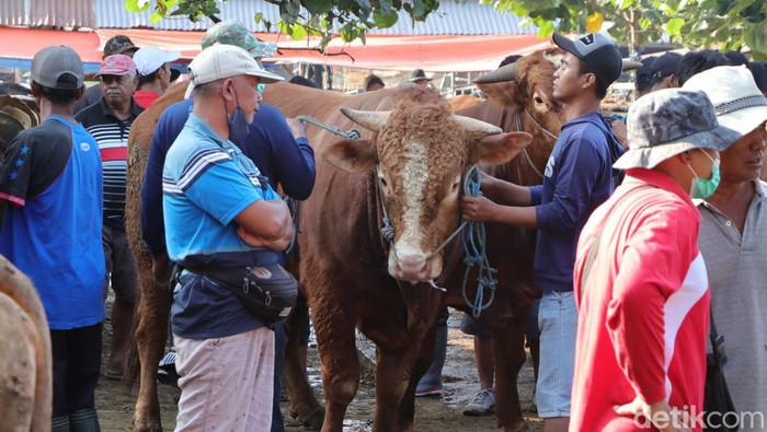 pasar sapi di ponorogo