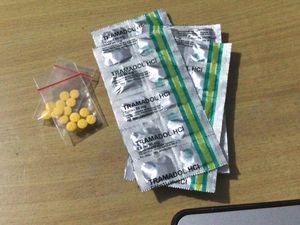 Nyambi Jualan Tramadol, Tukang Nasgor di Bogor Ditangkap Polisi