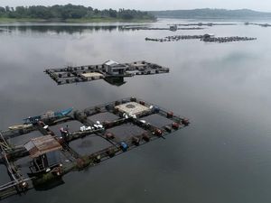 PLTS Apung 100 MW Bakal Dibangun di Waduk Kedung Ombo Boyolali