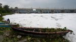 Warga India Ramai-ramai Bersihkan Sungai Berbusa Penuh Limbah-Racun