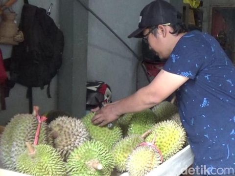 durian gencono lereng semeru Lumajang