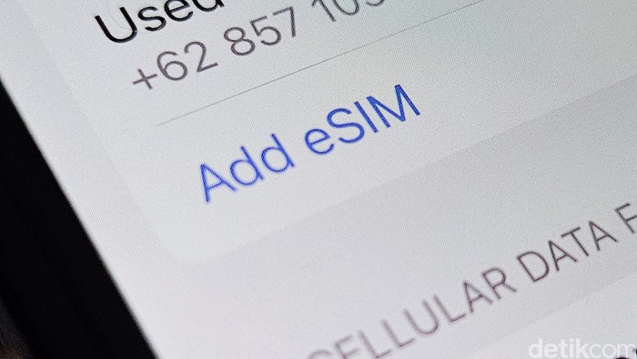 eSIM