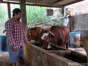 Harga Sapi di Kota Malang Rp 28-33 Juta, Naik Rp 2-3 Juta Jelang Idul Adha