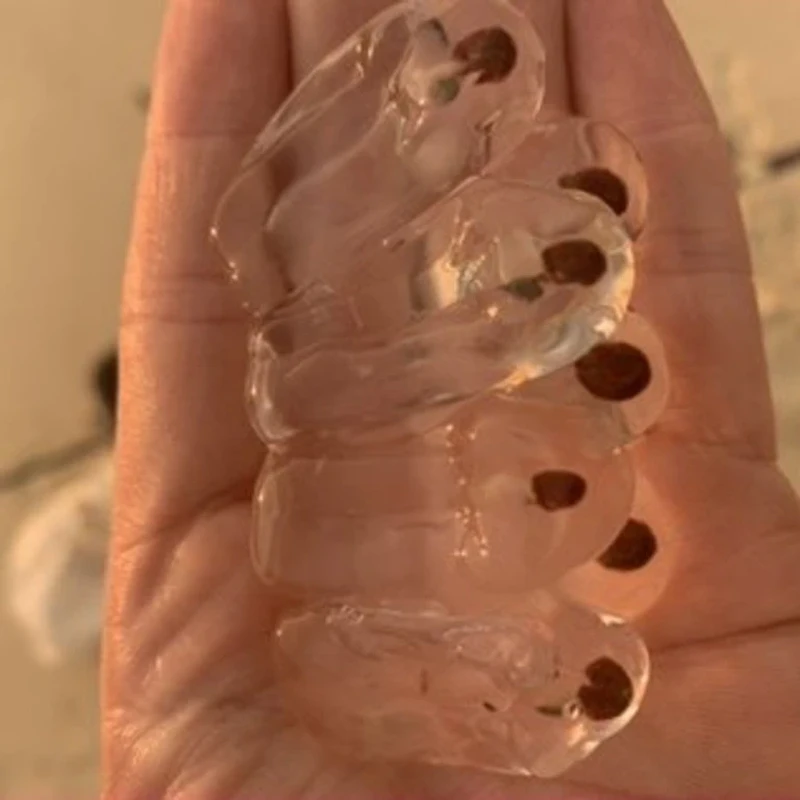 Hewan Unik Sea Salps