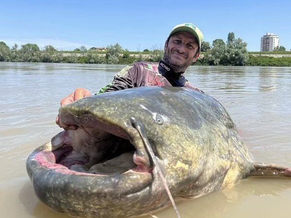 Ikan Lele Sepanjang 2,85 Meter Ditangkap di Sungai Italia