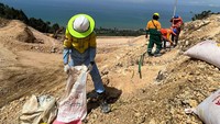 PT DAHANA melaksanakan peledakan perdana di lokasi penambangan PT Bengalon Limestone pada 16 Mei 2023. Tahapan peledakan meliputi pengambilan bahan peledak, pencampuran ammonium nitrat (AN) dengan solar, pengangkutan bahan peledak ke lokasi peledakan, priming, pengisian bahan peledak ke lubang ledak, perangkaian sesuai rencana, peledakan, dan pengecekan pasca peledakan. 