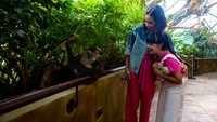 Marsha Timothy dan putrinya juga terlihat mengunjungi The Green Planet di City Walk untuk merasakan pengalaman masuk dalam hutan tropis vertikal. (Dubais Department of Economy and Tourism)