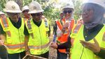 Melihat Budidaya Lebah Trigona di Lahan Reklamasi
