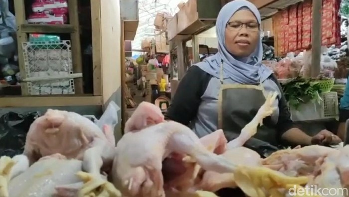 Pedagang ayam potong di Pasar Induk Brebes, Selasa (6/6/2023).