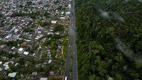 Cagar Hutan Adolpho Ducke ini merupakan bagian dari hutan hujan Amazon.  