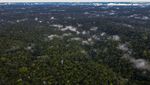 Potret Hutan Amazon Berdampingan dengan Permukiman di Brasil