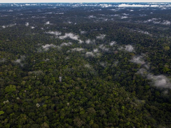 Aerial view of the Adolpho Ducke Forest Reserve, part of Amazonia rainforest, side by side with houses of the neighborhood Cidade de Deus (City Of God) located in the east zone of Manaus, Amazonas state, Brazil on June 5, 2023, during the World Environment Day. (Photo by MICHAEL DANTAS / AFP) (Photo by MICHAEL DANTAS/AFP via Getty Images)