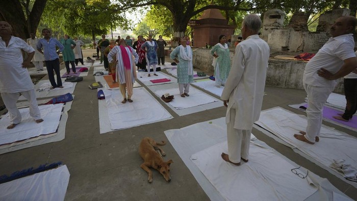 People perform yoga in a group at the Khusro Bagh garden and burial complex in Prayagraj, India, early Tuesday, June 6, 2023. The three sandstone mausoleums within this walled garden are an example of Mughal architecture. The design of its main entrance, the surrounding gardens and the three-tier tomb of Shah Begum, who died in 1604, has been attributed to Aqa Reza, Jahangir's principal court artist. Shah Begum, originally Manbhawati Bai, was the daughter of Raja Bhagwant Das of Amber. (AP Photo/Rajesh Kumar Singh)