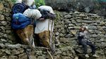 Foto 10 Fakta Sherpa, Bergaji Puluhan Juta dalam Sebulan