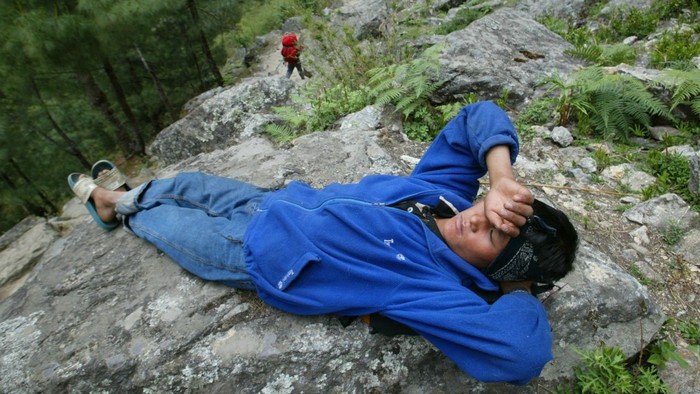 Sherpa
